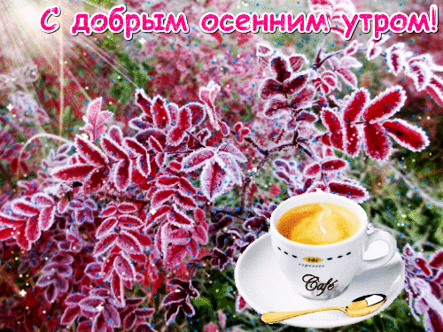С добрым осенним утром