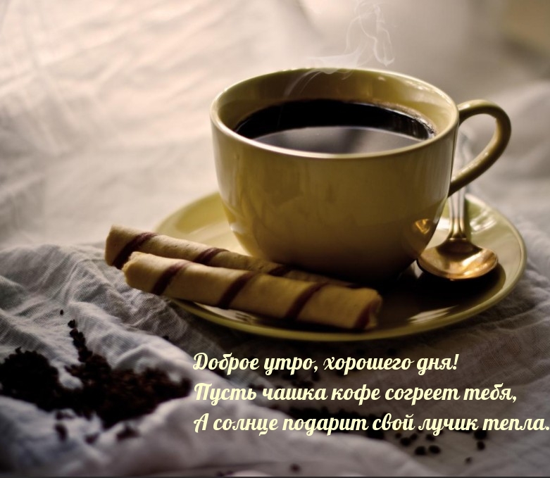 Доброе утро, хорошего дня!