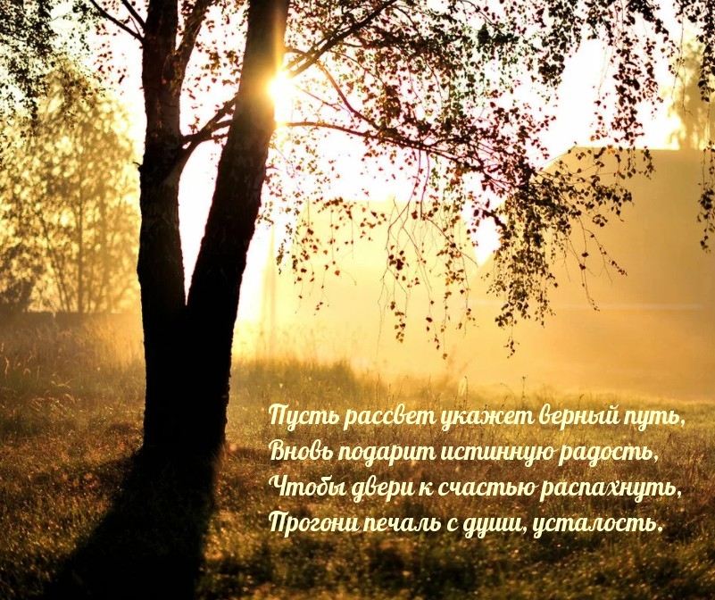 Пусть рассвет укажет верный путь