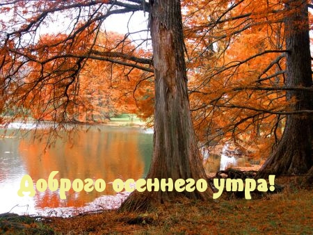 Доброго осеннего утра!
