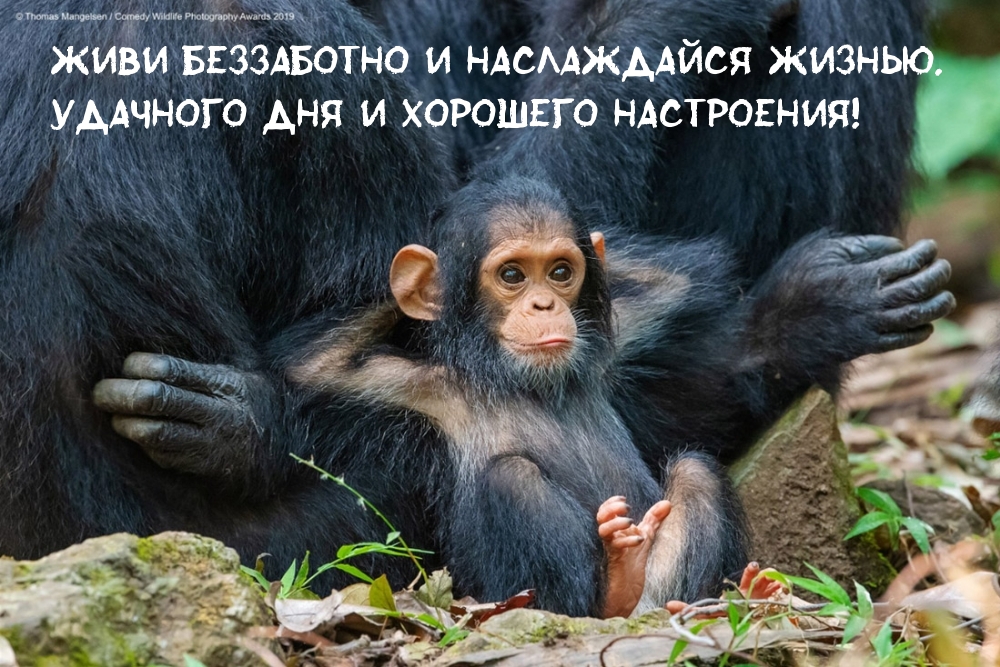 Живи беззаботно и наслаждайся жизнью!