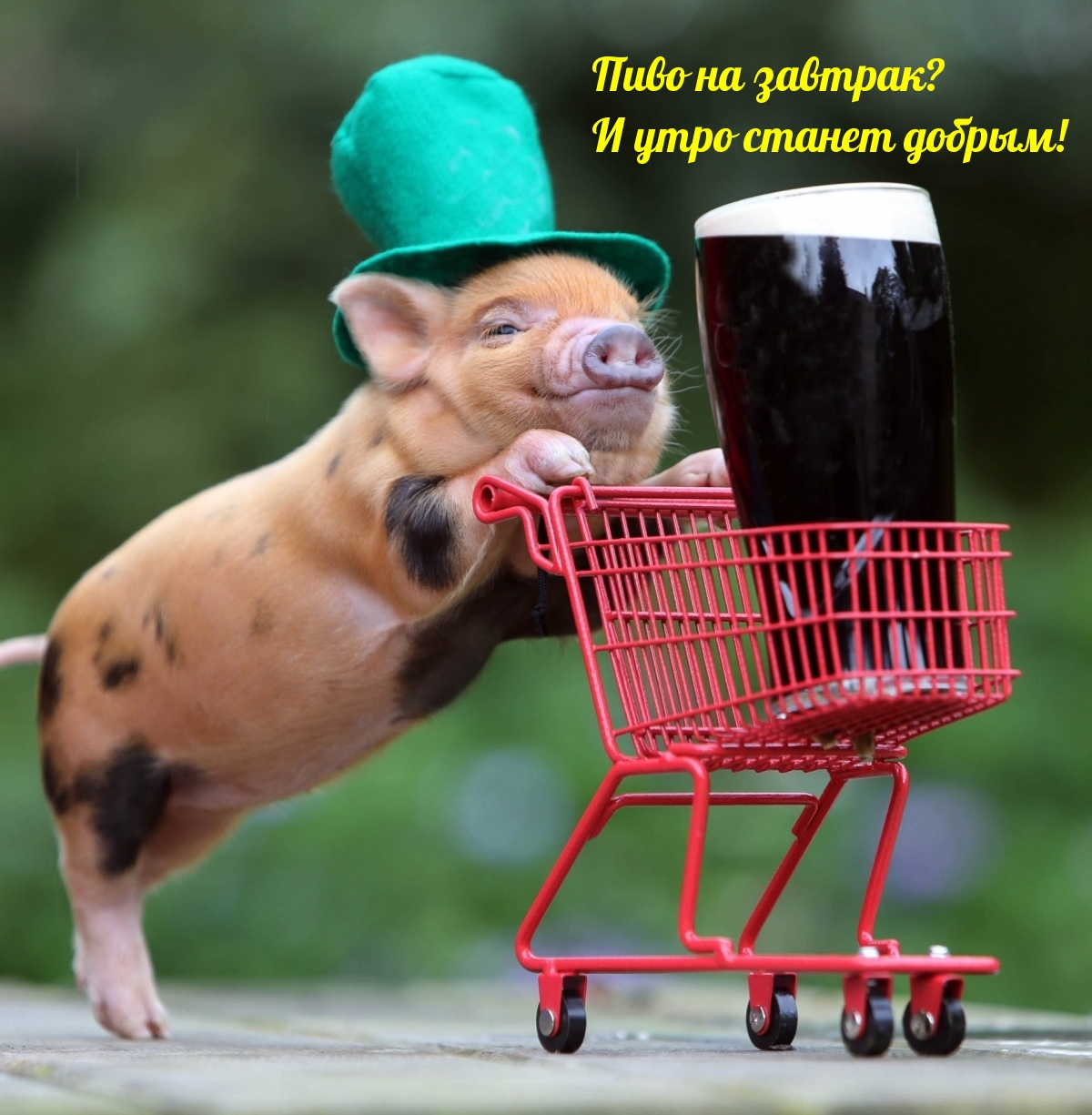 Пиво на завтрак? И утро станет добрым!