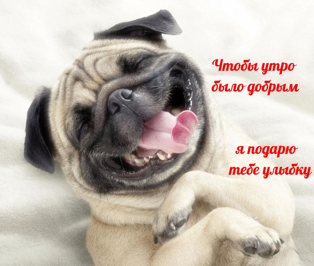 Я подарю тебе улыбку!
