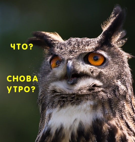Что? Снова утро?