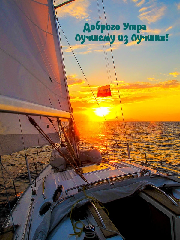 Доброго Утра Лучшему из Лучших!