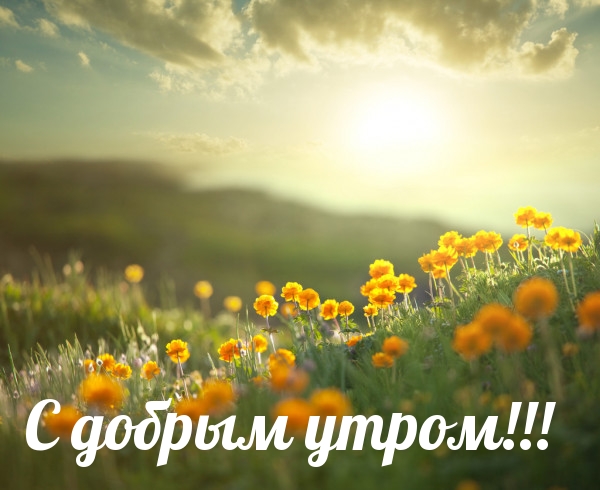 С добрым утром!