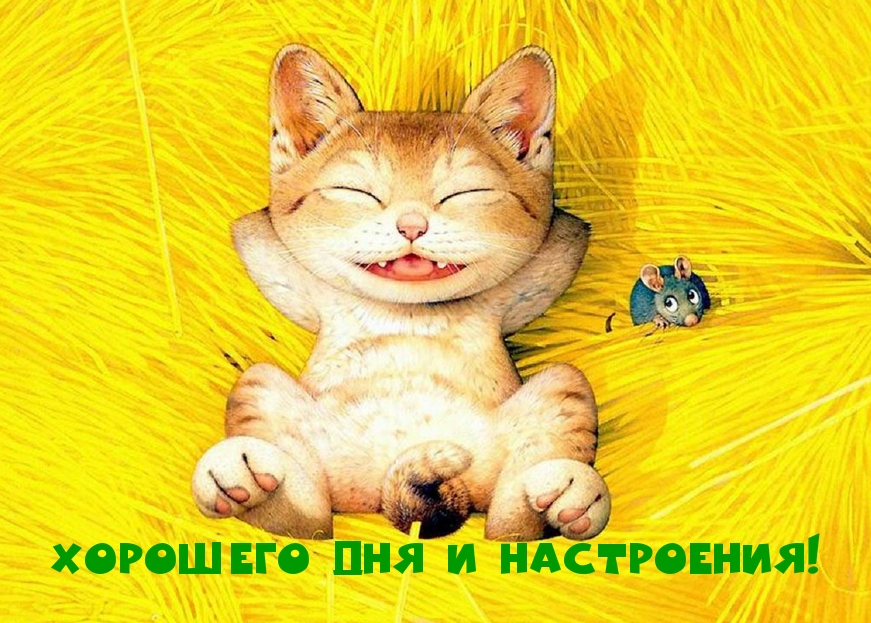 Хорошего Дня и Настроения!