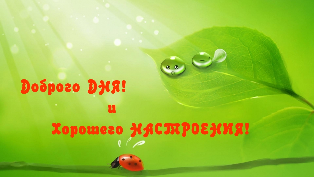 Доброго ДНЯ! и Хорошего НАСТРОЕНИЯ!