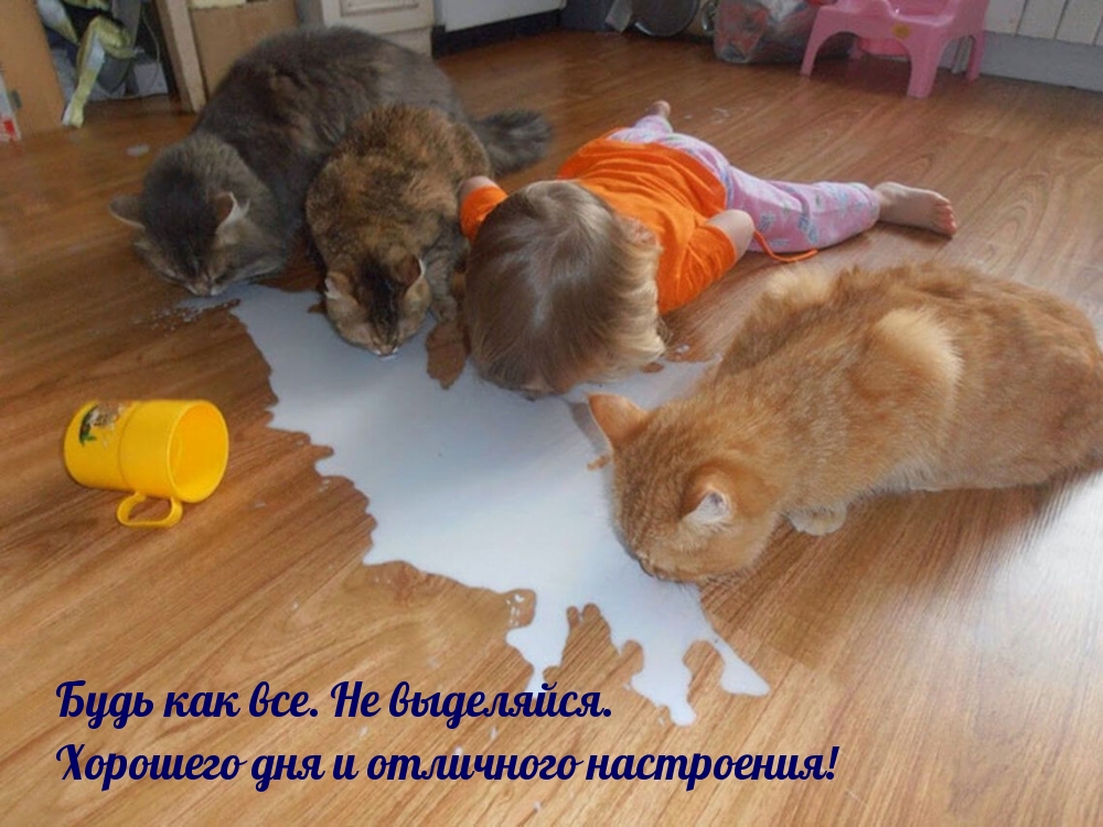 Будь как все. Не выделяйся