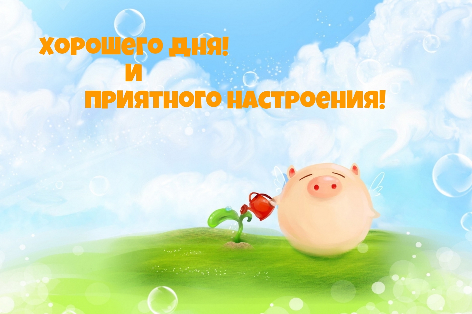 Хорошего Дня! и Приятного Настроения!