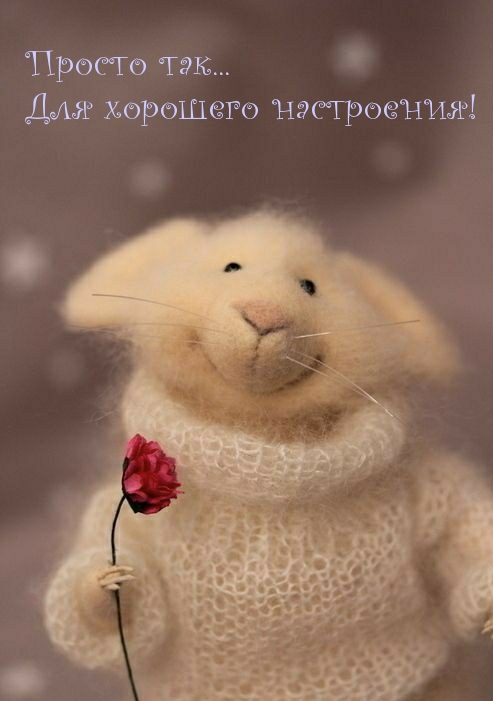 Просто так… Для хорошего настроения!