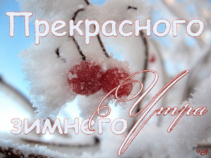 Прекрасного зимнего Утра!