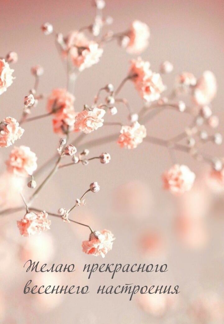 Желаю прекрасного весеннего настроения