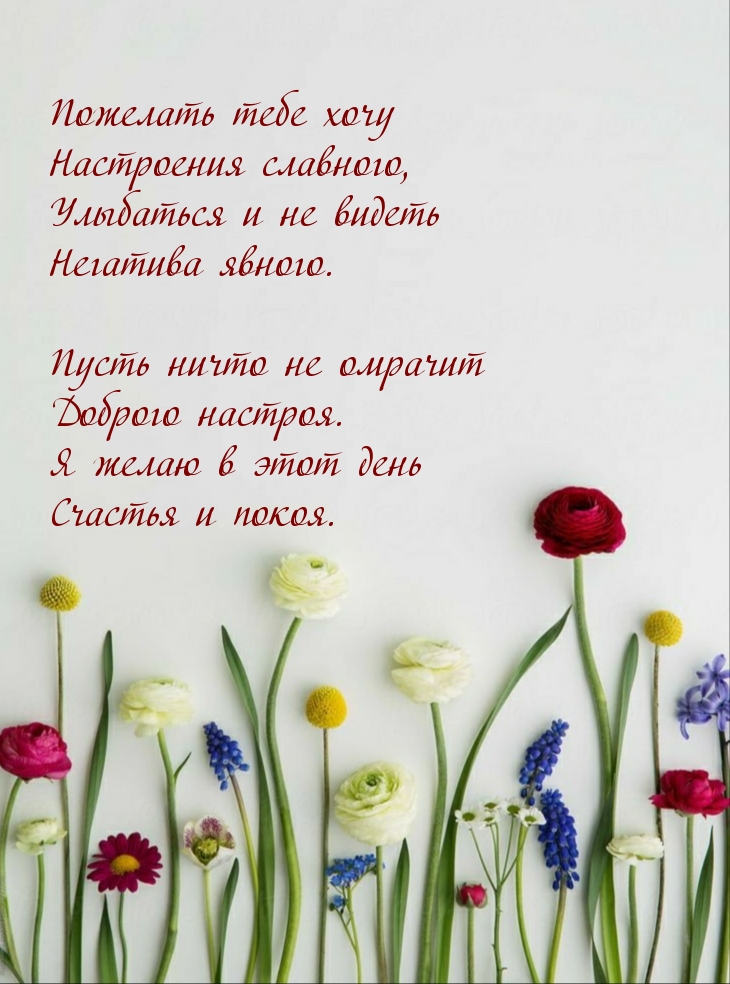 Пожелать тебе хочу настроения славного!
