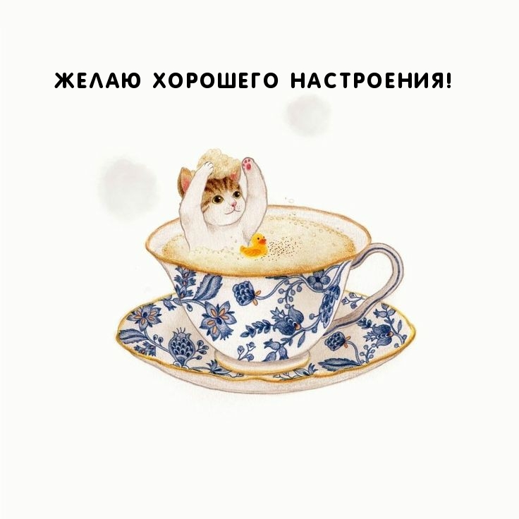 Желаю хорошего настроения!