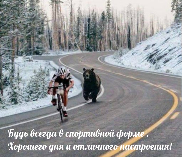Будь всегда в спортивной форме