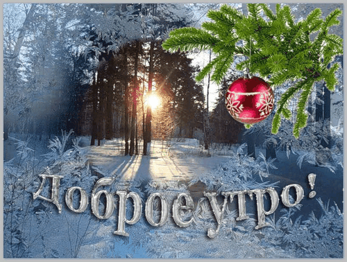 Доброе утро! Зимний лес