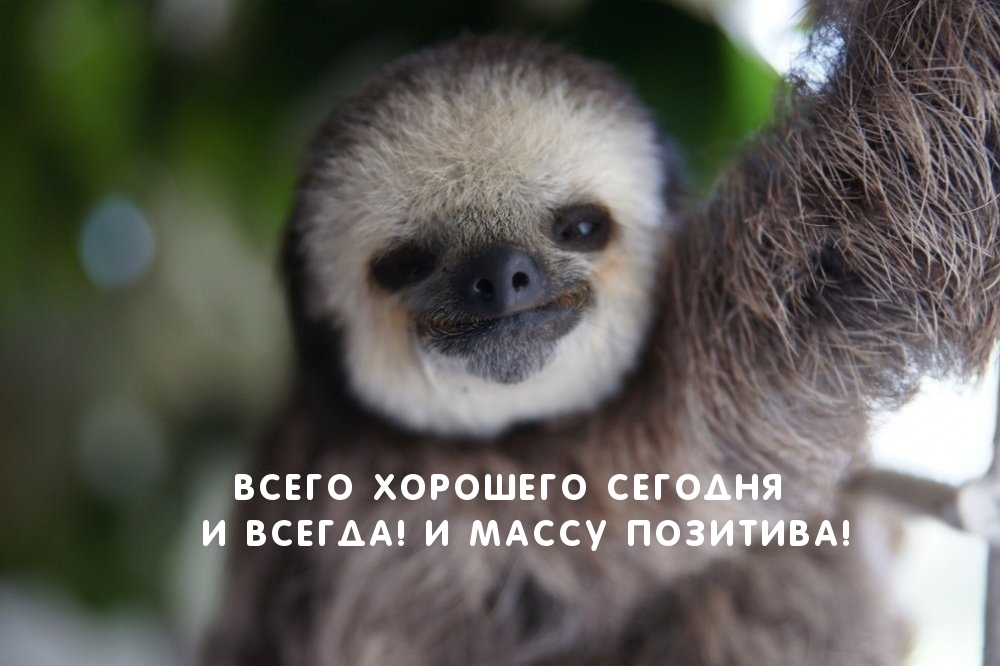 Всего хорошего сегодня и всегда! И массу позитива!