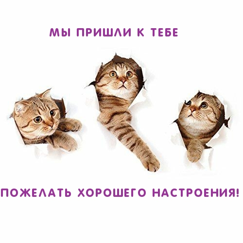 Мы пришли к тебе пожелать хорошего настроения!
