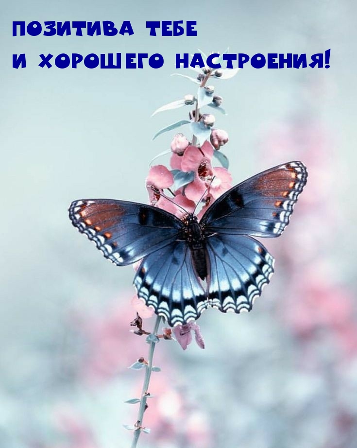 Позитива тебе и хорошего настроения!