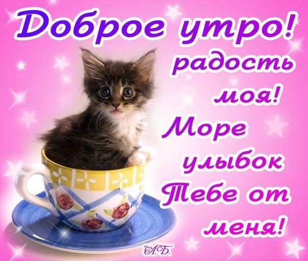 Доброе утро, радость моя!