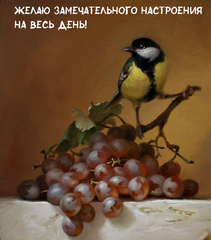 Желаю замечательного настроения на весь день!