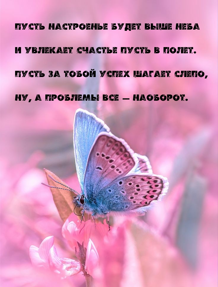 Пусть настроенье будет выше неба