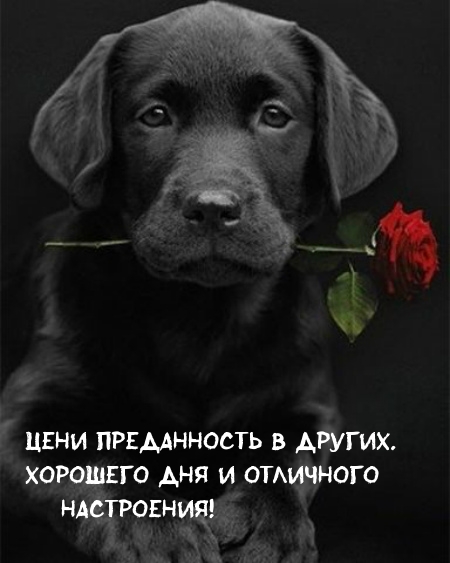 Хорошего дня и отличного настроения!