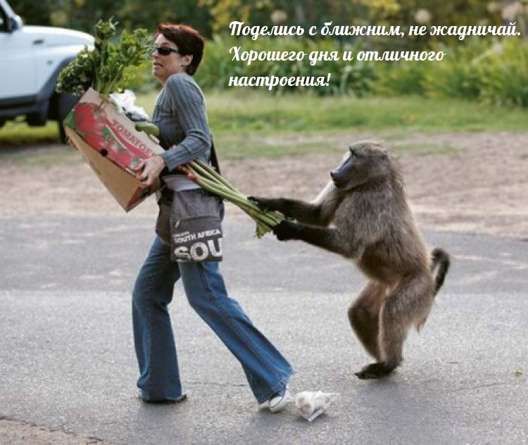 Поделись с ближним, не жадничай
