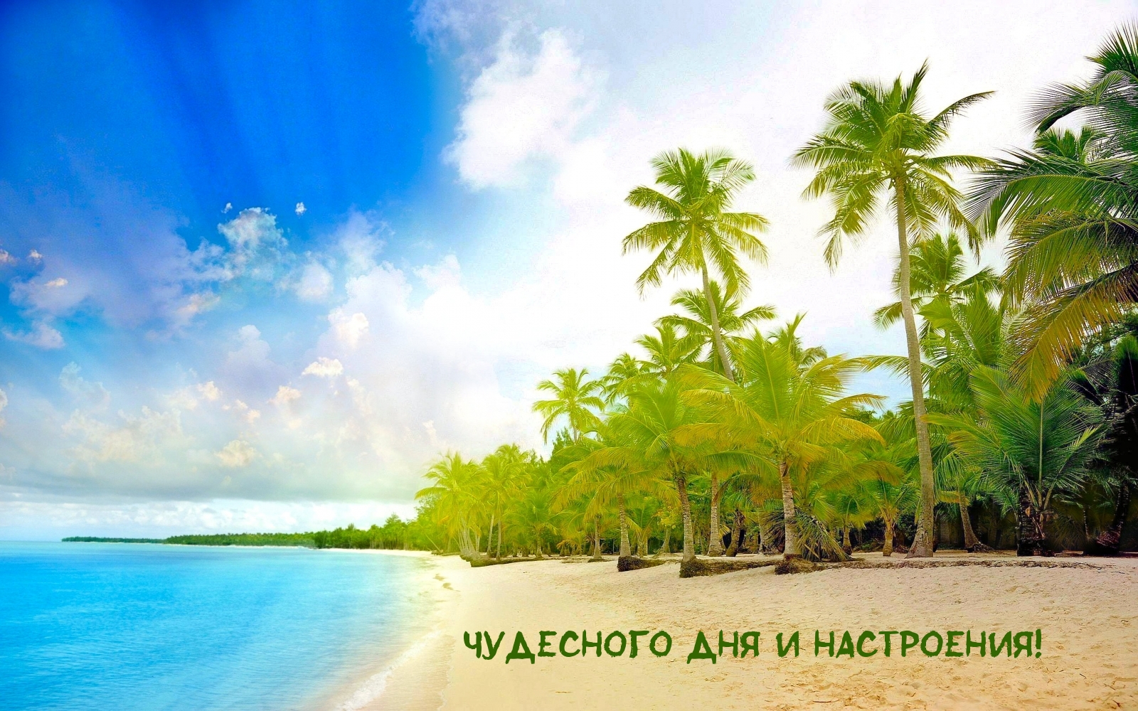 Чудесного Дня и Настроения!