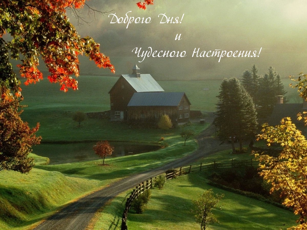 Доброго Дня! и Чудесного Настроения!