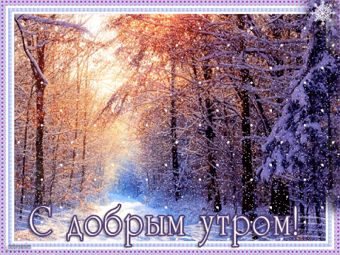 С добрым утром! Лесная зимняя тропа