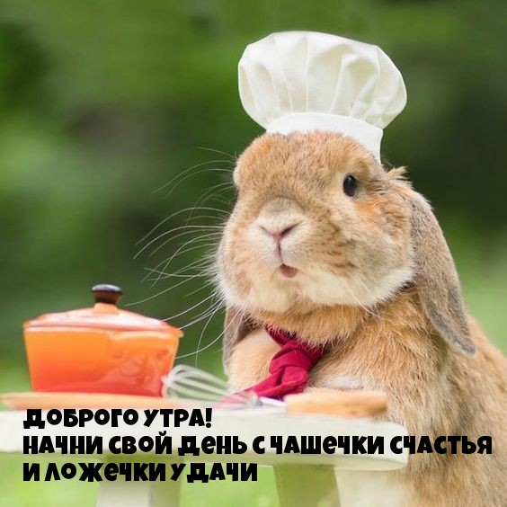 Начни свой день с чашечки счастья)
