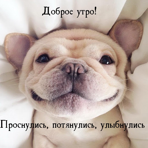 Доброе утро! Проснулись, потянулись, улыбнулись