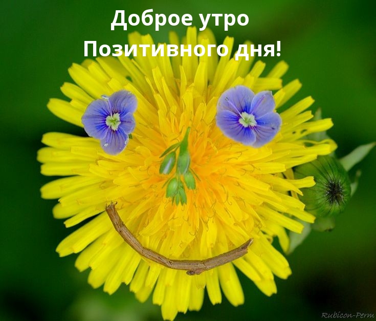 Доброе утро Позитивного дня!