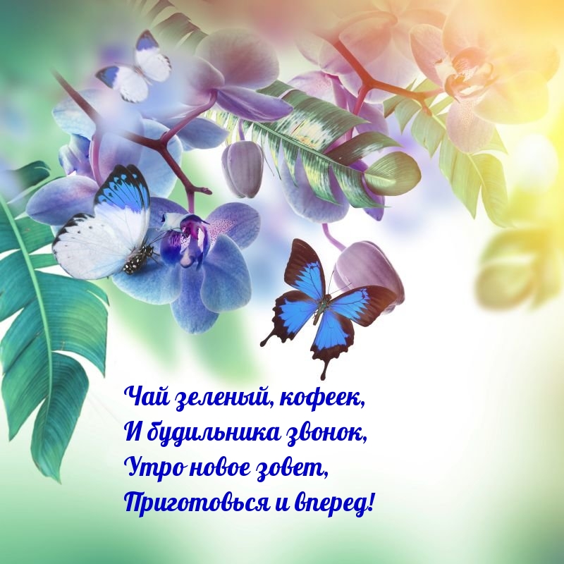 Утро новое зовет, приготовься и вперед!