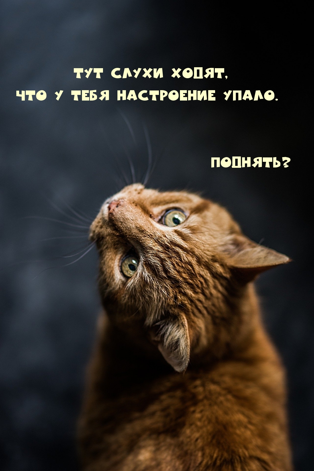 У тебя настроение упало. Поднять?