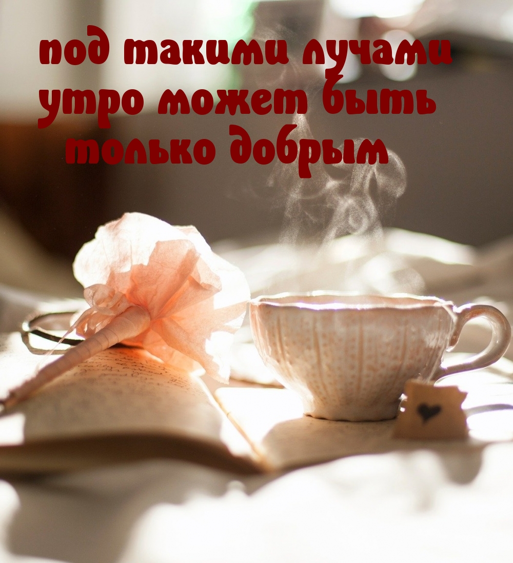 Под такими лучами утро может быть только добрым