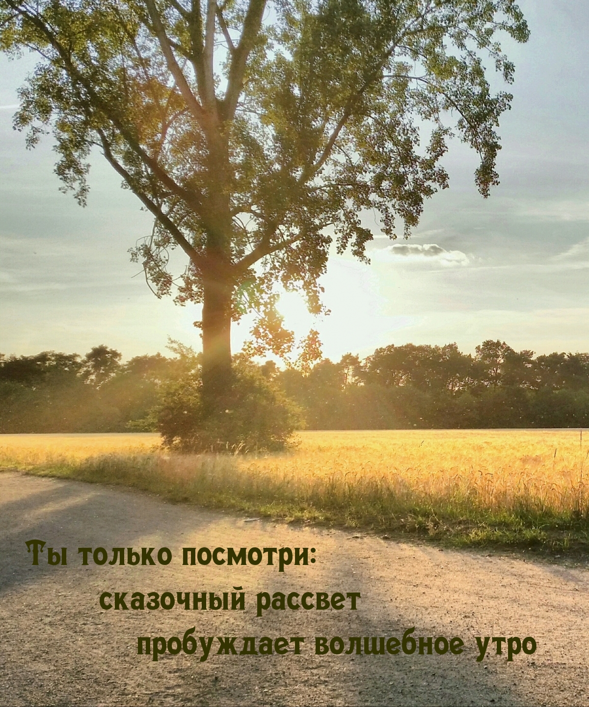 Ты только посмотри: сказочный рассвет!