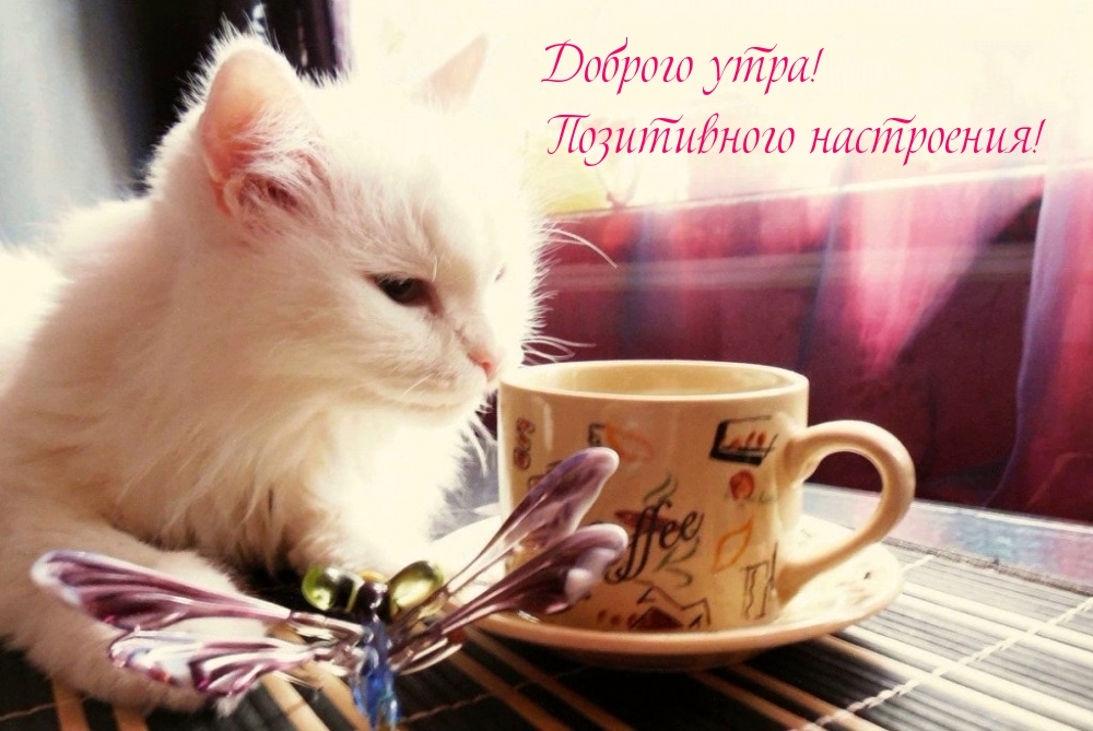 Доброго утра! Позитивного настроения!