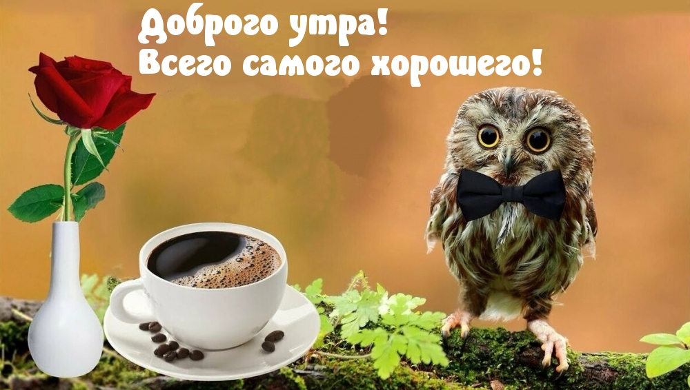 Доброго утра! Всего самого хорошего!