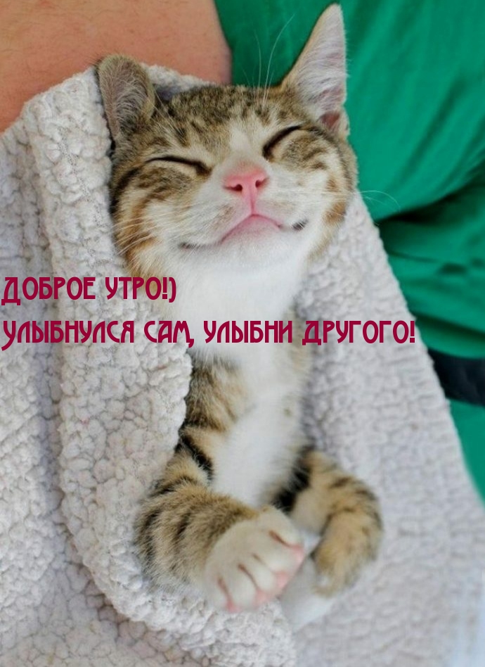Доброе утро!) Улыбнулся сам, улыбни другого!