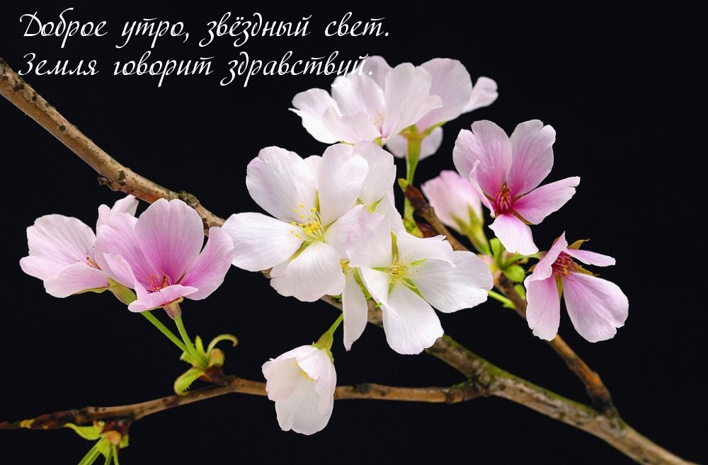 Доброе утро, звёздный свет. Земля говорит здравствуй.