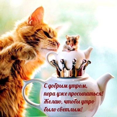 Желаю, чтобы утро было светлым!