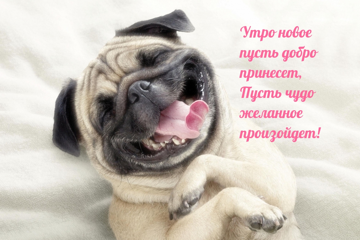 Пусть чудо желанное произойдет!
