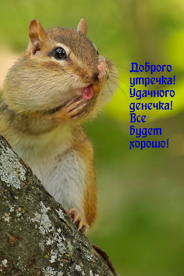 Доброго утречка! Удачного денечка!
