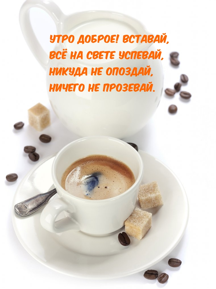 Утро доброе! Вставай! Всё на свете успевай!