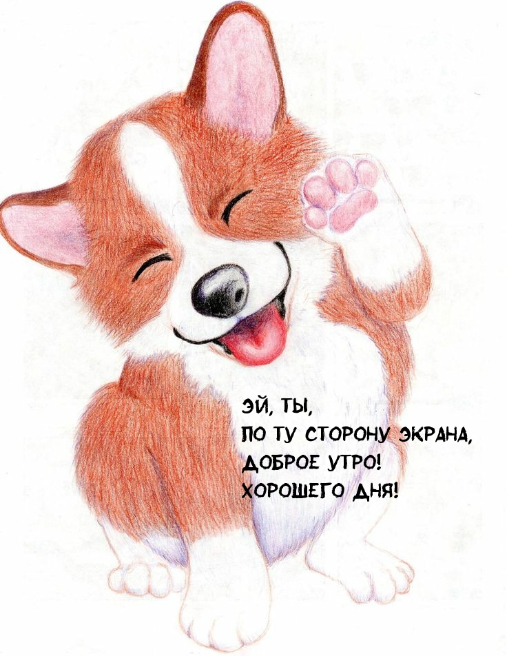 Эй, ты, по ту сторону экрана, доброе утро!