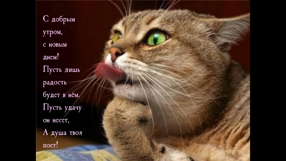 С добрым  утром, с новым  днем!
