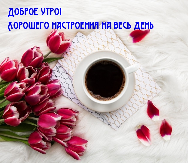 Доброе утро! Хорошего настроения на весь день